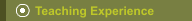 Teaching Experience