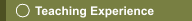 Teaching Experience
